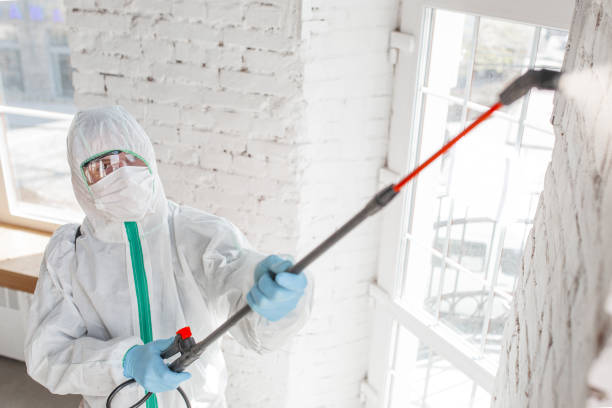  Nicholls, GA Mold Removal Pros